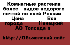 Комнатные растения более200видов недорого почтой по всей России › Цена ­ 100-500 - Все города  »    . Ненецкий АО,Топседа п.